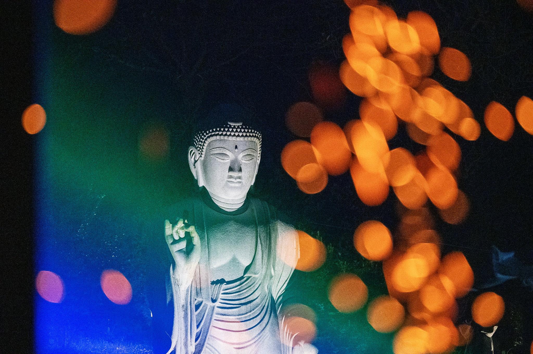 제8회 낙화축제